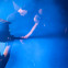 Bauchklang live auf der AKUSMATIK Tour 2013